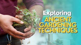 Exploring Ancient Gardening Techniques