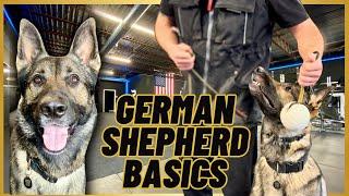 German Shepherd BASIC Training! A LEASH + A BALL!