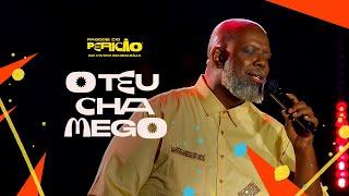 Péricles - O Teu Chamego | Pagode do Pericão Ao Vivo em Brasília (Vídeo Oficial)