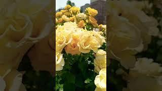 #жить #любить #творить #будущее #вместесильнее #искусствожить