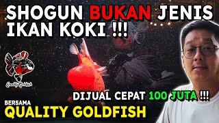 IKAN KOKI SHOGUN DIJUAL SEHARGA 100 JUTA !!! PENJELASAN MENGENAI SHOGUN!!!