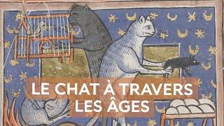 Les chats, à la conquête du monde et des âges