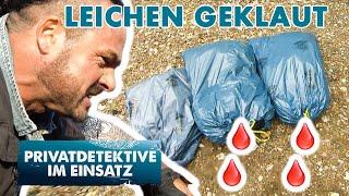 Entsetzlich️4 Leichen verschwunden | Privatdetektive im Einsatz