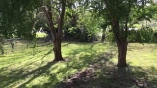 Virtual Tour: 404 S Loving Ave, Sherman, TX