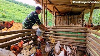 Quang's daily work on the farm. finding food for the animals. fertilizing crops (EP211)