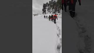 Домой с рыбалки #рыбаки #рыбалка