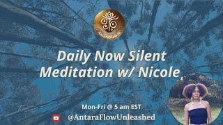 Daily Now 20-Min Silent Meditation w/ Nicole (day 337)