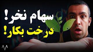 هنر سرمایه گذاری | بهترین روش خرید سهام با ریسک کم و سود بالا | روانشناسی بورس | دوره بورس جلسه 56