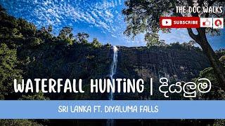 Waterfall Hunting in Sri Lanka | Diyaluma Falls | දියලුම #minivlog #travel