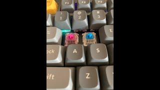 Gateron Blue vs Bobagum silent switch