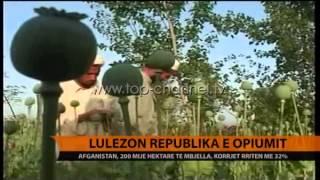 Lulëzon republika e opiumit  Top Channel Albania - News - Lajme