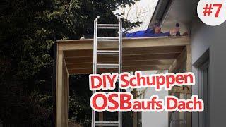 OSB aufs Dach | DIY Schuppen Tag 7