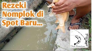 GAK NYANGKA!!! ,MANCING DI PARIT KECIL STRIKE IKAN MAS...MANTAB