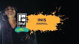 INIS - Animal (Live Performance) | Music Everywhere x iBeat Gigs