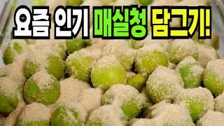 매실청 힘들게 하지마세요️ 이 방법은 쉽고 맛있는 매실청 담그기 1등 레시피입니다