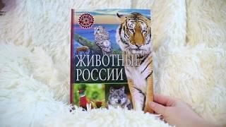 Животные России | Популярная детская энциклопедия | Владис