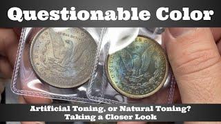 Questionable Color Morgan Dollars - Artificial Toning, or Natural Toning? Taking a Closer Look AT NT