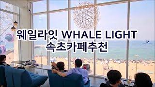 [웨일라잇] WHALE LIGHT 속초카페 가볼만한곳, 속초여행, Sokcho Tour