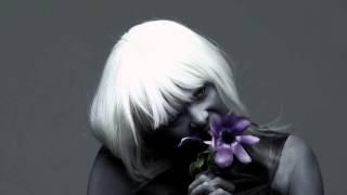 Purple by Paris Kain