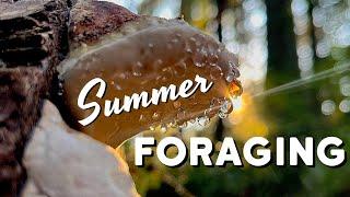 Summer Foraging in the PNW - August Mushroom Hunting, Wild Berries, & Medicinal Plants