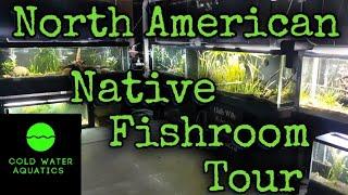 North American Native Fishroom Tour