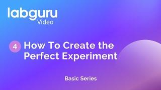 How to create the perfect experiment