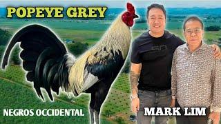 POPEYE GREY - MARK LIMPBIZKIT GAMEFARM - QUALITY GAMEFOWL IN THE PHILIPPINES