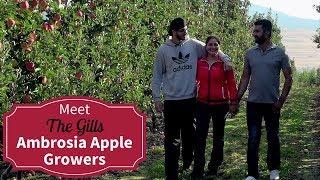 Meet Your BC Ambrosia Apple Growers - The Gills