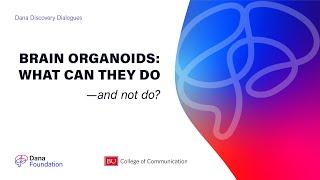 Brain Organoids: What Can They Do and Not Do? - A Dana Discovery Dialogues Series