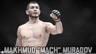 Makhmud "Mach" Muradov Highlights [HD] 2021