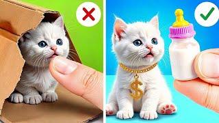 Let's BUILT SECRET ROOM FOR MY CAT | TikTok Gadgets and Hacks for Pets and Pets Owners by 123GO! Zoo