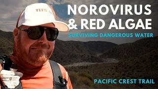 Norovirus, Red Algae & Hurricane Damage: Surviving the Pacific Crest Trail