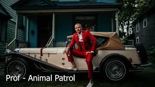 Prof - Animal Patrol