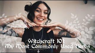 Witchcraft 101: Commonly Used Herbs in My Practice