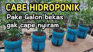 Part 1 | Tanam cabe hidroponik menggunakan galon bekas #tamankecilhidroponik