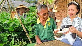 Love cove bean season: grandfather brought a rabbit as a gift to Hang | Ly Phuc Hang