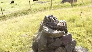 Büffel Weide in der Nähe von Loch Achtriochtan in der Nähe von Glencoe,  tolle Büffel in Schottland