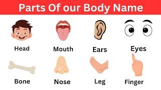 Body Parts | Body Parts Name in English with Pictures | Listen and Practice | Fun Learning