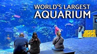 Georgia Aquarium Tour - Inside the World’s Largest Aquarium in Atlanta