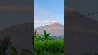 #amazingindonesia #shotsvideo