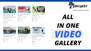 Install a Video Gallery To Your Website On WordPress | All In One Video Gallery