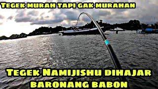 Mancing dapat baronang besar | Tegek Namijishu 630 | Tegek Fumo Badao 720 | Tegek Jiadiaoni YSCR 630