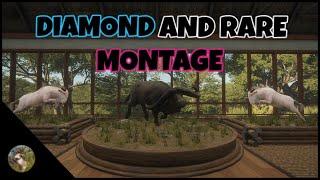 Diamond And Rare Montage | theHunter Call of the Wild