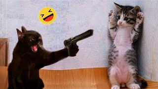 Best Funniest Cats  - Don't try to hold back Laughter  Funny Cats 2023 #6