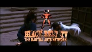 Watch BLACK BELT TV / THE MARTIAL ARTS NETWORK on ROKU Android & Google TV