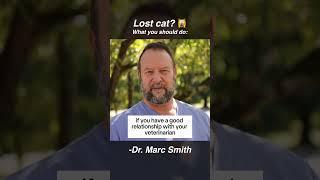 Need Help Finding a Lost Cat? Try These 4 Steps by Marc Smith, DVM, MS