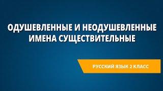 Одушевленные и неодушевленные имена существительные