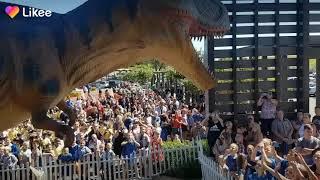 The Dino Expo