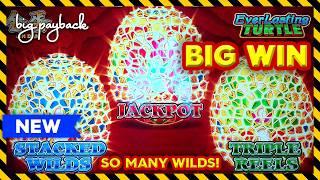 HOT NEW SLOT! Everlasting Turtle - BIG WIN - SO MANY WILDS!