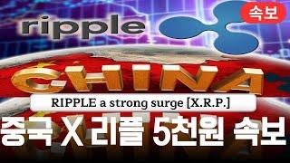 XRP 리플코인 사고쳤다!! 중국&리플 5천원까지 급등하게 될 초강력 속보 떠버린 진짜이유